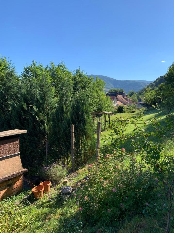 Chalet Rustique, 3Pieces, Jusqu'A 6 Personnes Urbes ภายนอก รูปภาพ